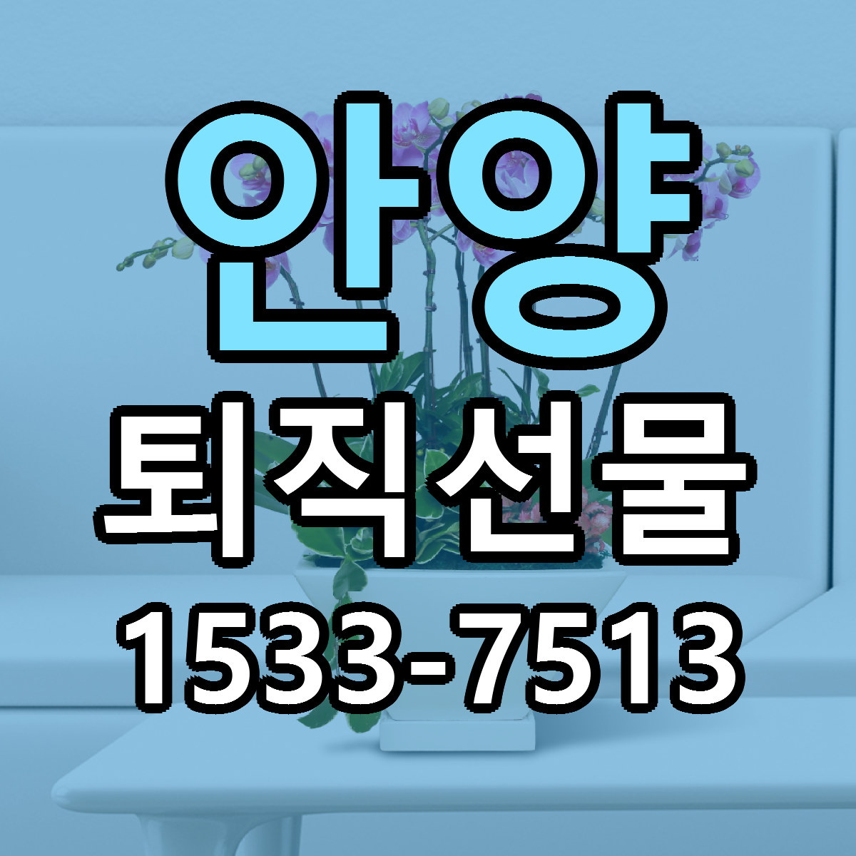 안양 퇴직선물 저렴한곳 당일배송 가격 만족