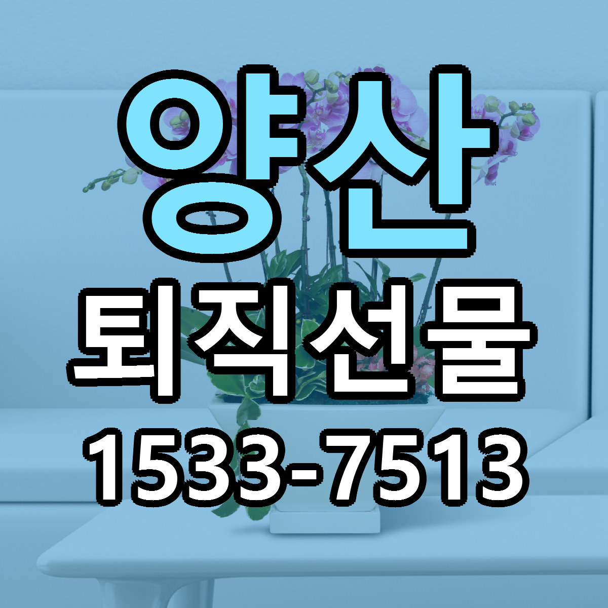 양산 퇴직선물 당일배송 근처꽃집 싼곳 비교