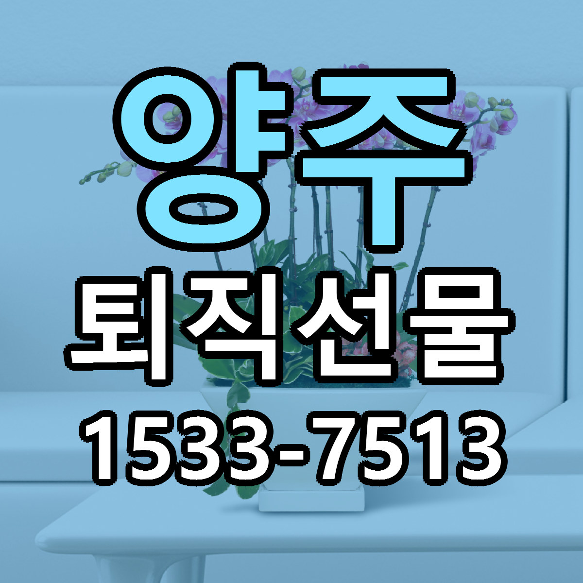 양주 퇴직선물 당일배송 가격 저렴한곳 추천