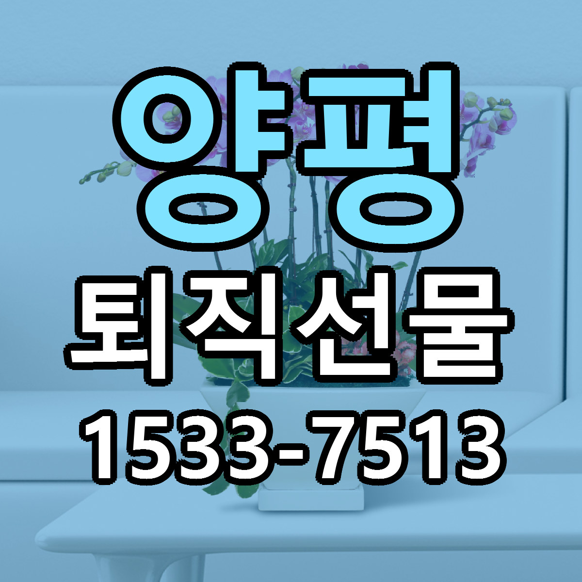 양평 퇴직선물 빠른배송 리본문구 가격 알뜰 비교