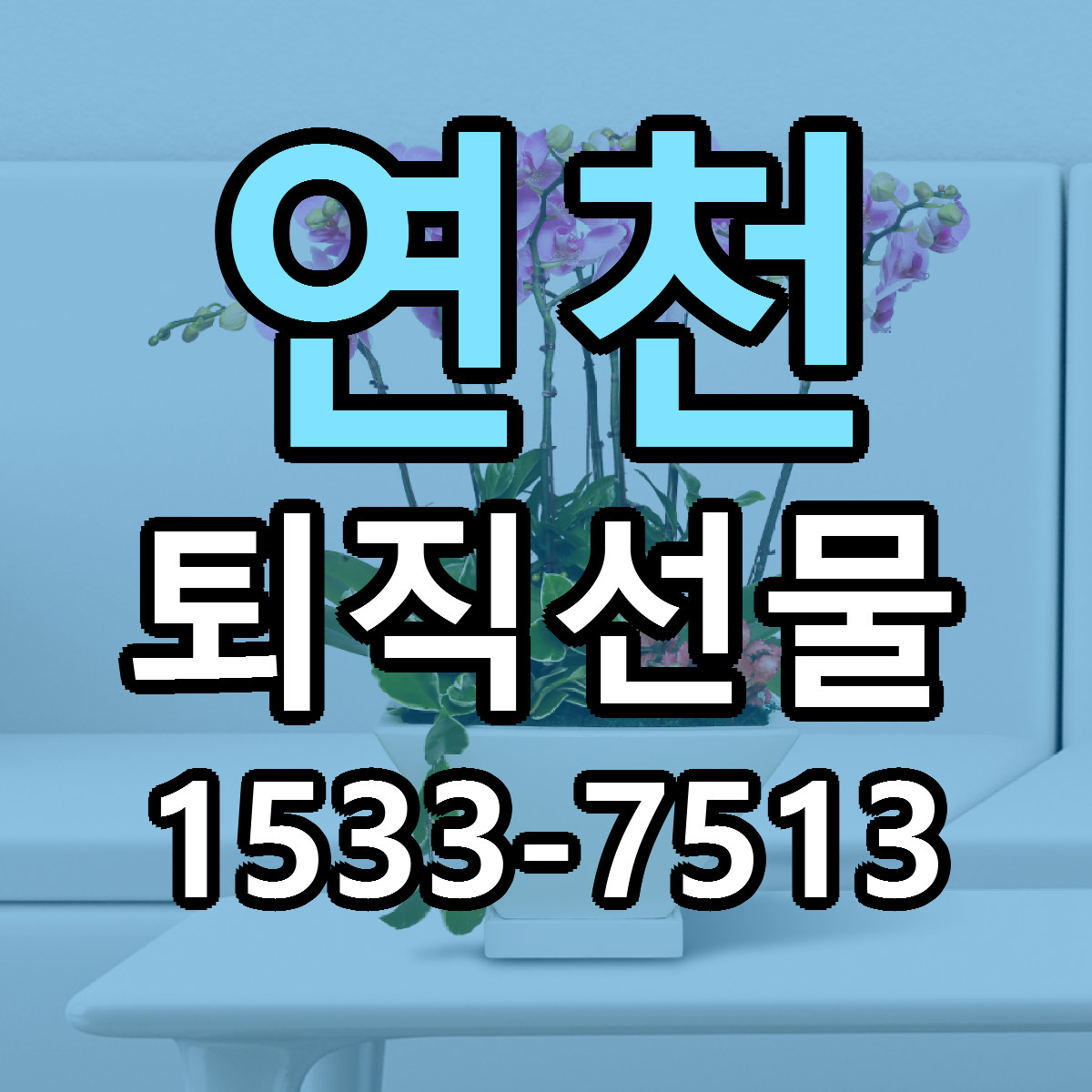 연천 퇴직선물 가격 만족 저렴한곳 리본문구 작성