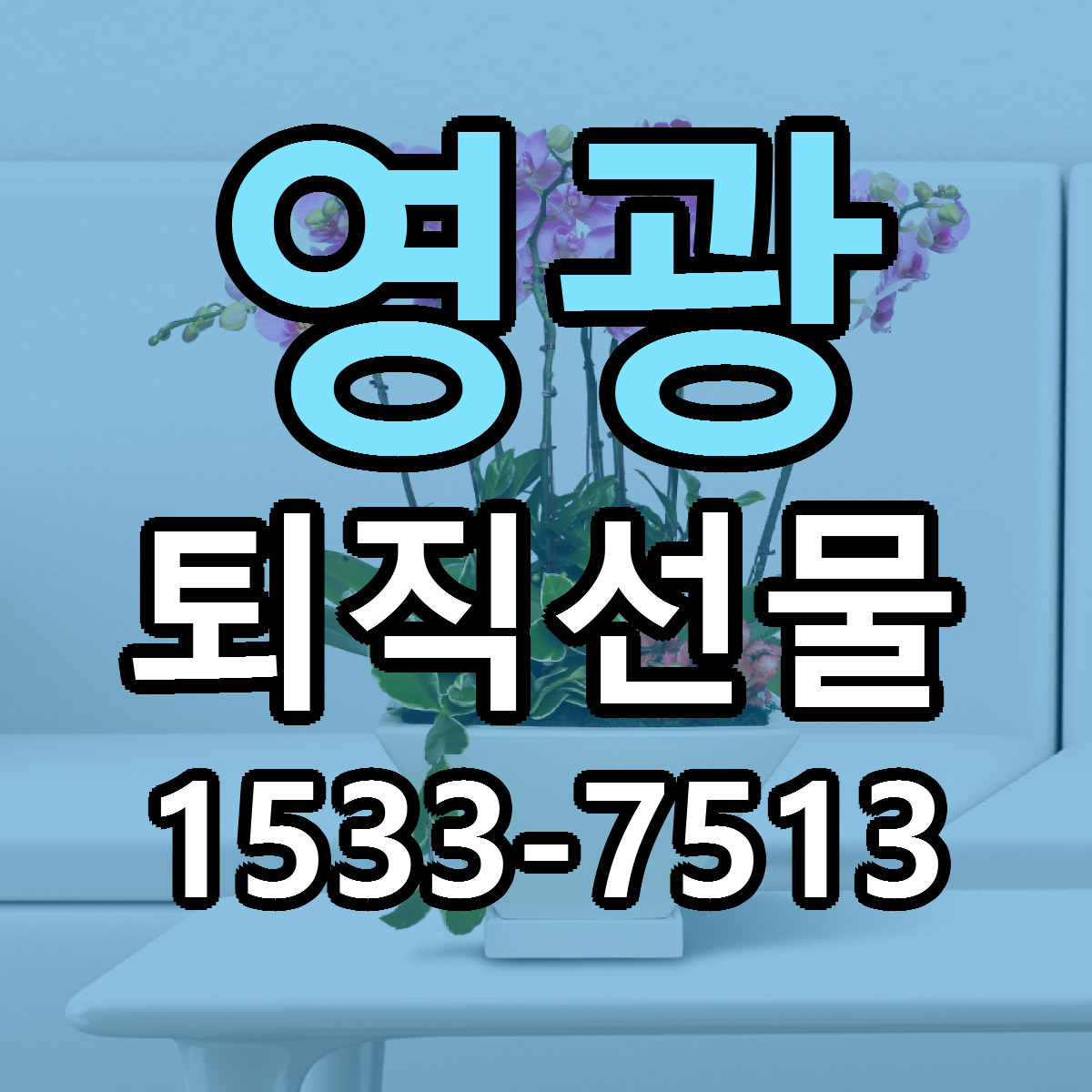 영광 퇴직선물 빠른배송 리본문구 근처꽃집 예약