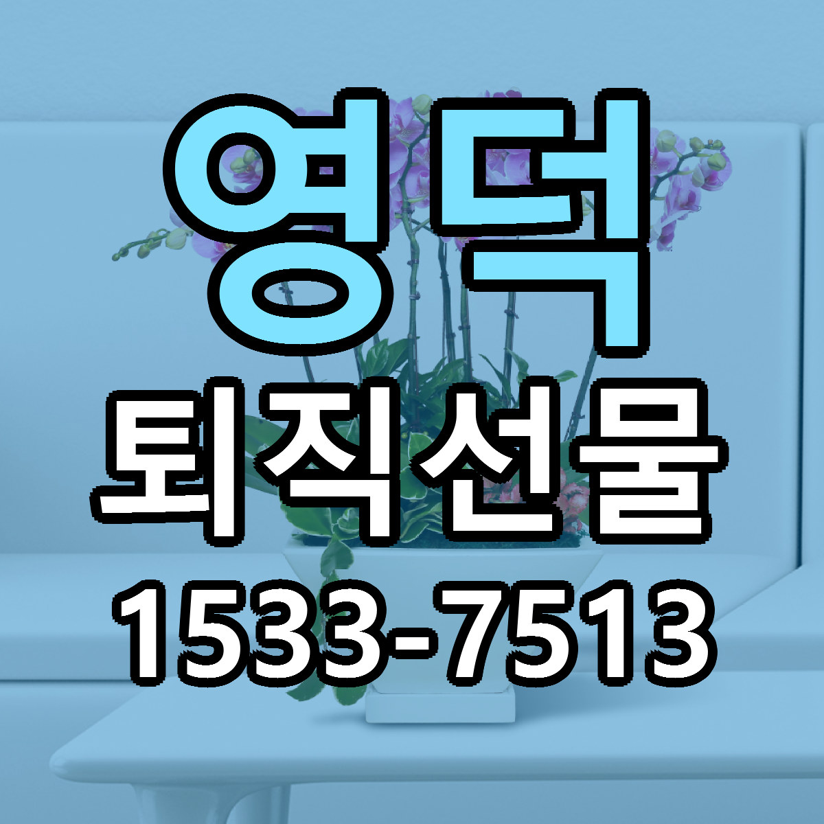 영덕 퇴직선물 근처꽃집 싼곳 빠른배송 안내