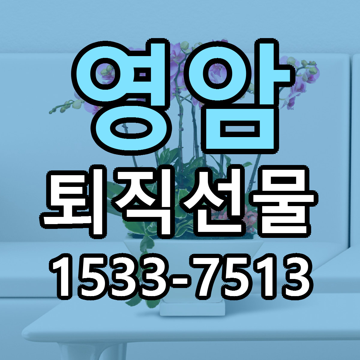 영암 퇴직선물 당일배송 가격 저렴한곳 추천