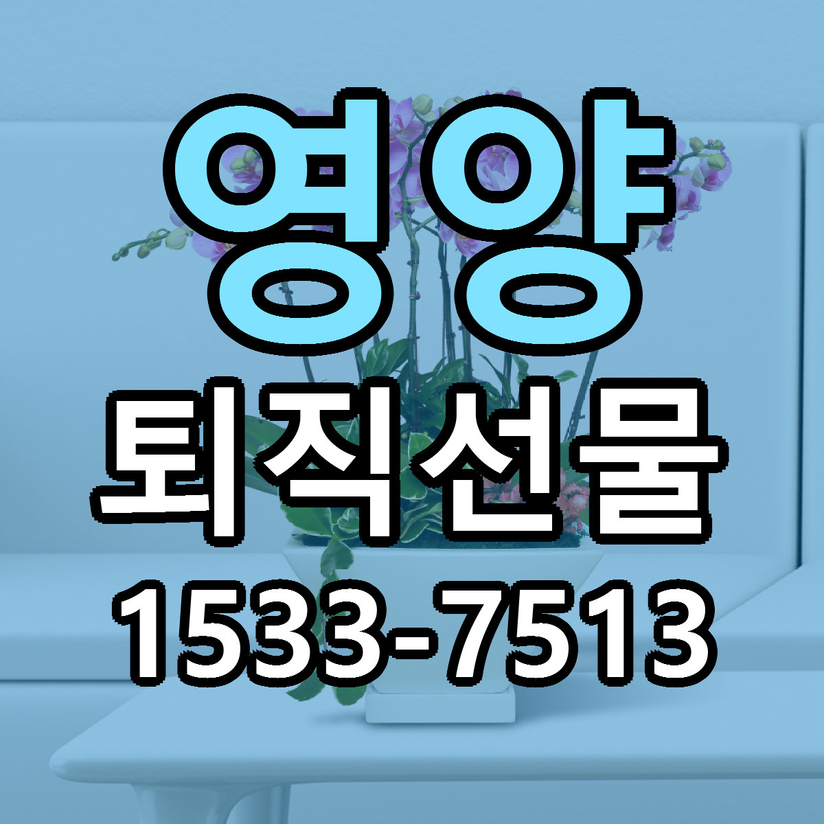 영양 퇴직선물 빠른배송 리본문구 근처꽃집 예약