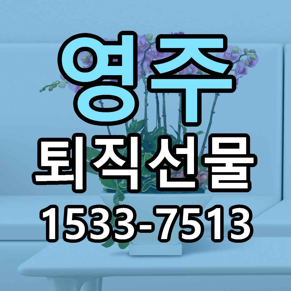 영주 퇴직선물 당일배송 근처꽃집 싼곳 비교