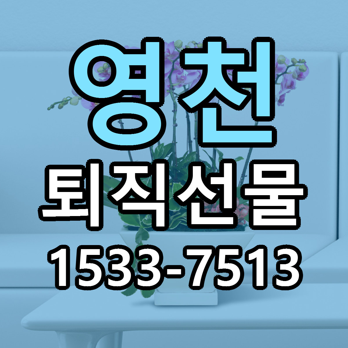 영천 퇴직선물 가격 착한 싼곳 당일배송 안내