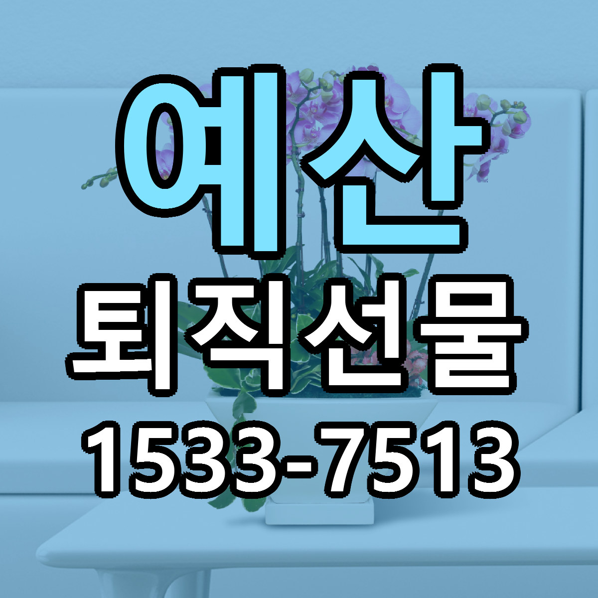 예산 퇴직선물 리본문구 서비스 저렴한곳 빠른배송