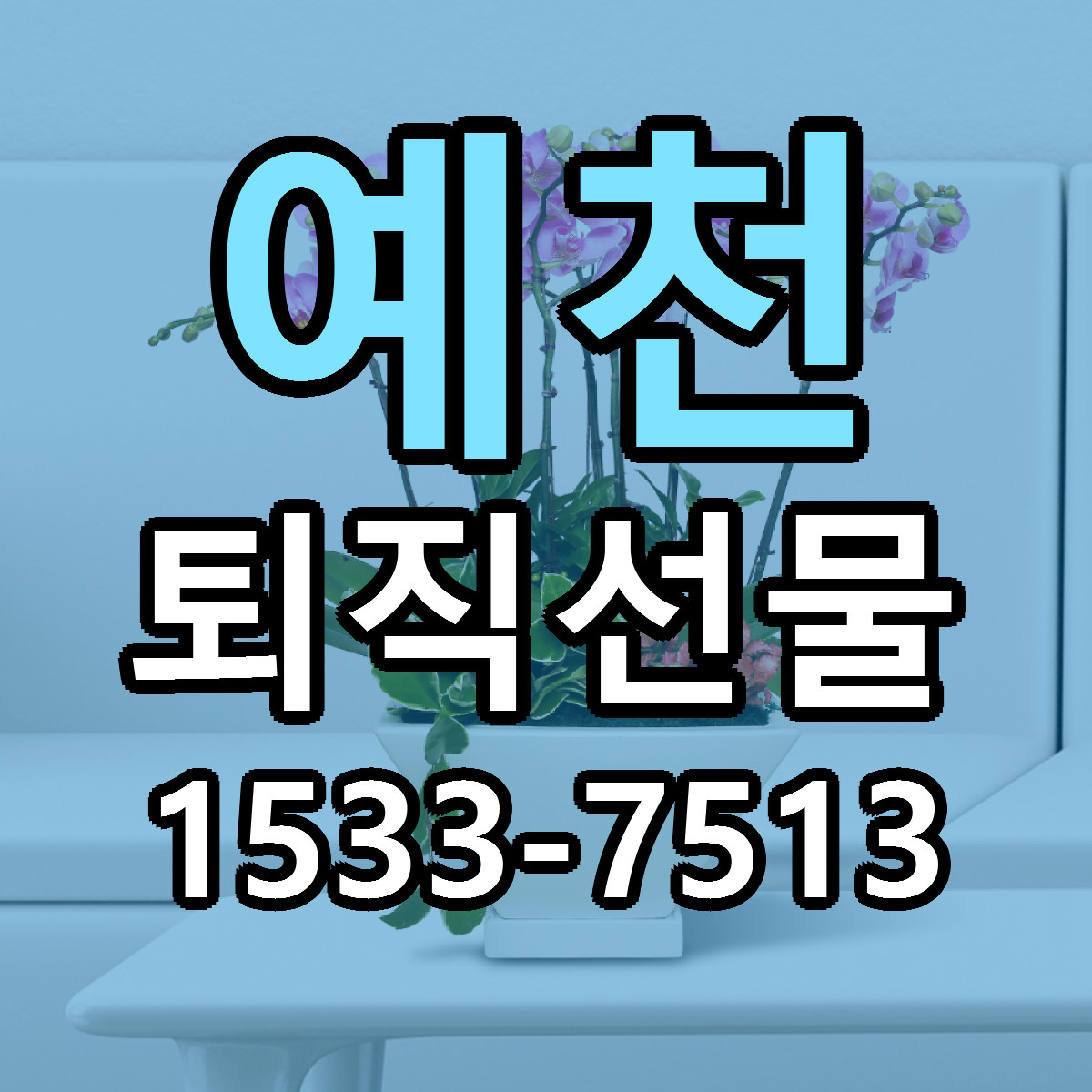 예천 퇴직선물 빠른배송 싼곳 가격 문의
