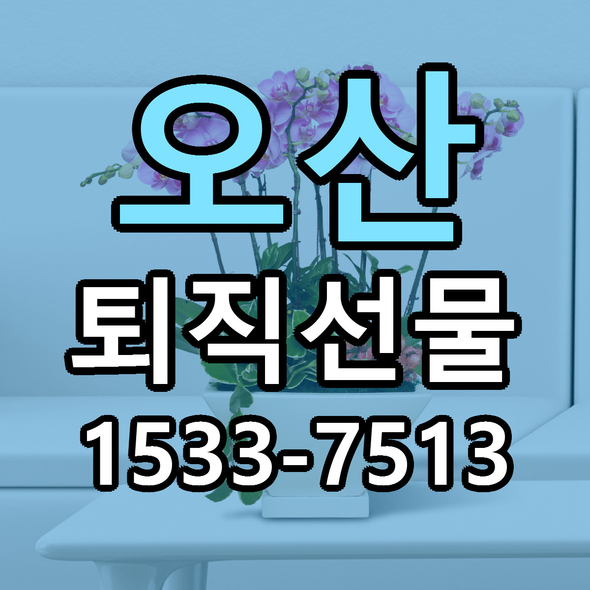 오산 퇴직선물 가격 만족 저렴한곳 리본문구 작성