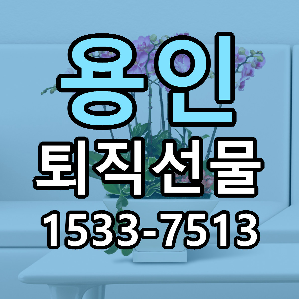 용인 퇴직선물 저렴한곳 당일배송 근처꽃집 추천