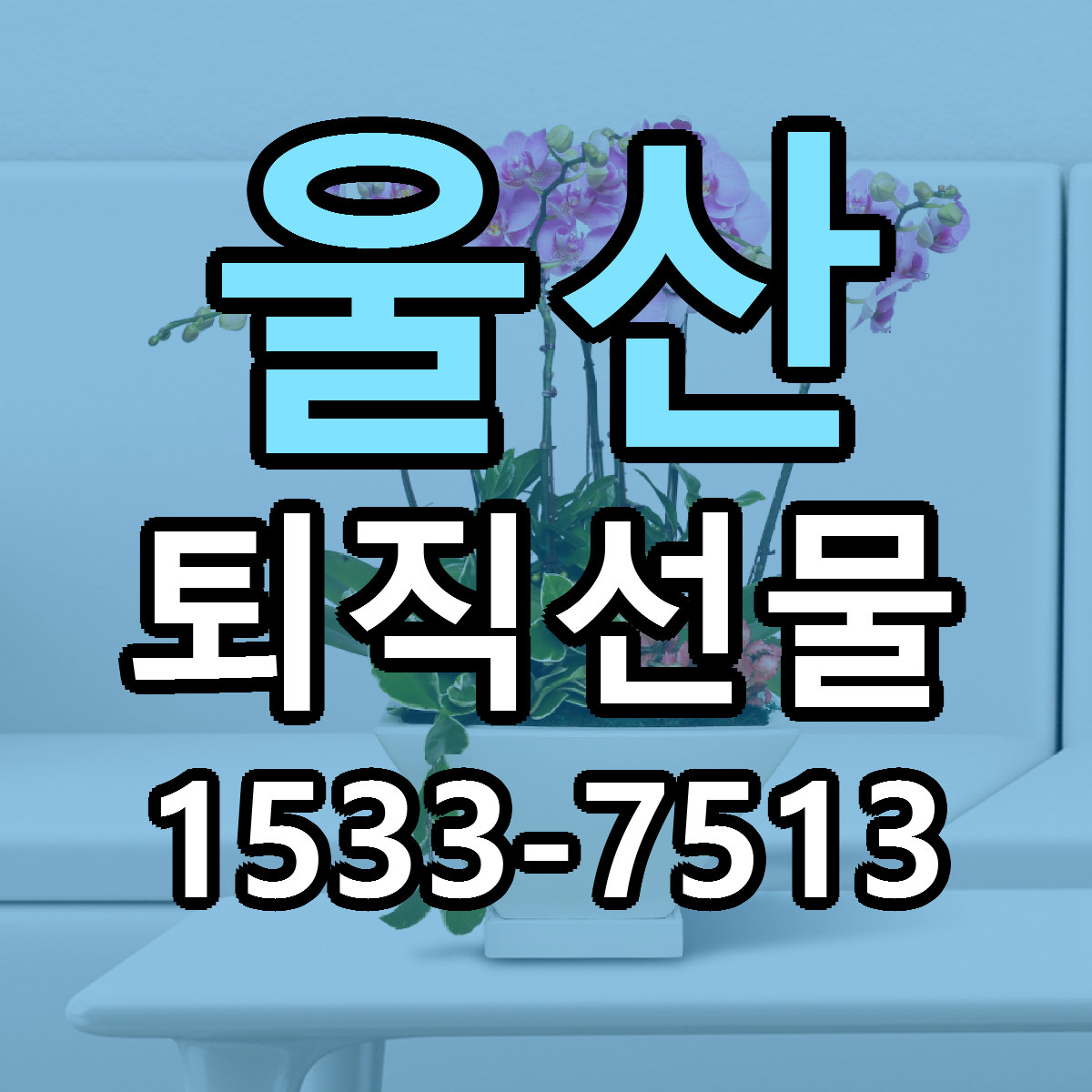 울산 퇴직선물 근처꽃집 싼곳 빠른배송 안내