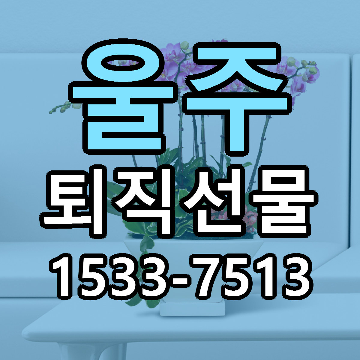 울주 퇴직선물 근처꽃집 빠른배송 가격 문의