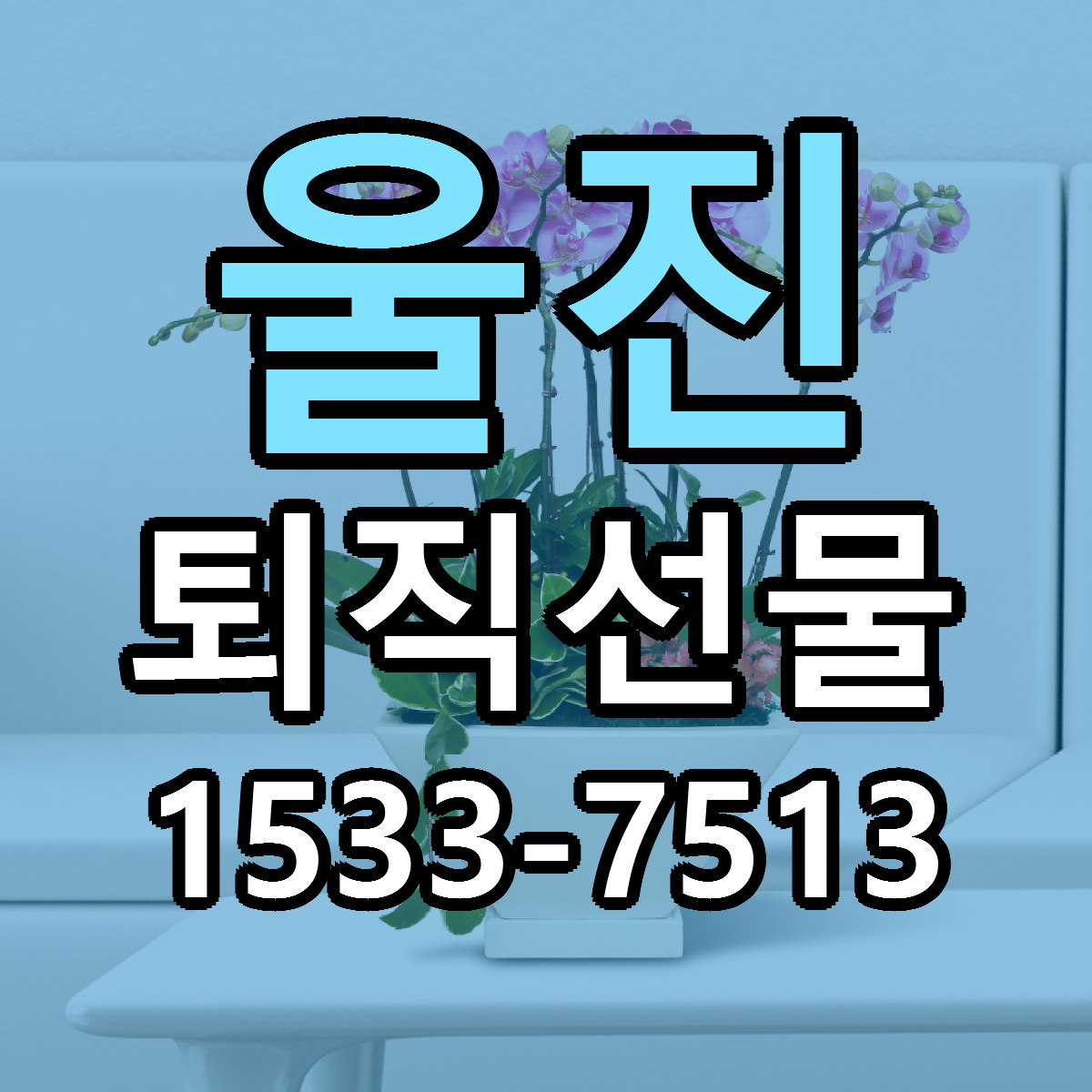 울진 퇴직선물 근처꽃집 가격 저렴한곳 안내