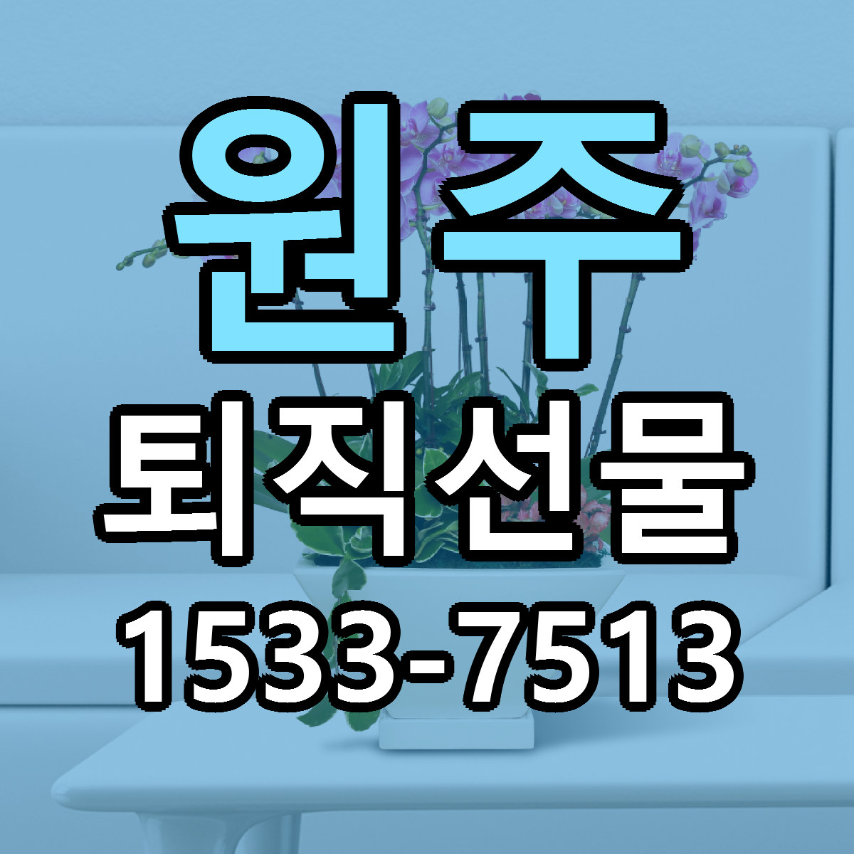 원주 퇴직선물 가격 만족 저렴한곳 리본문구 작성