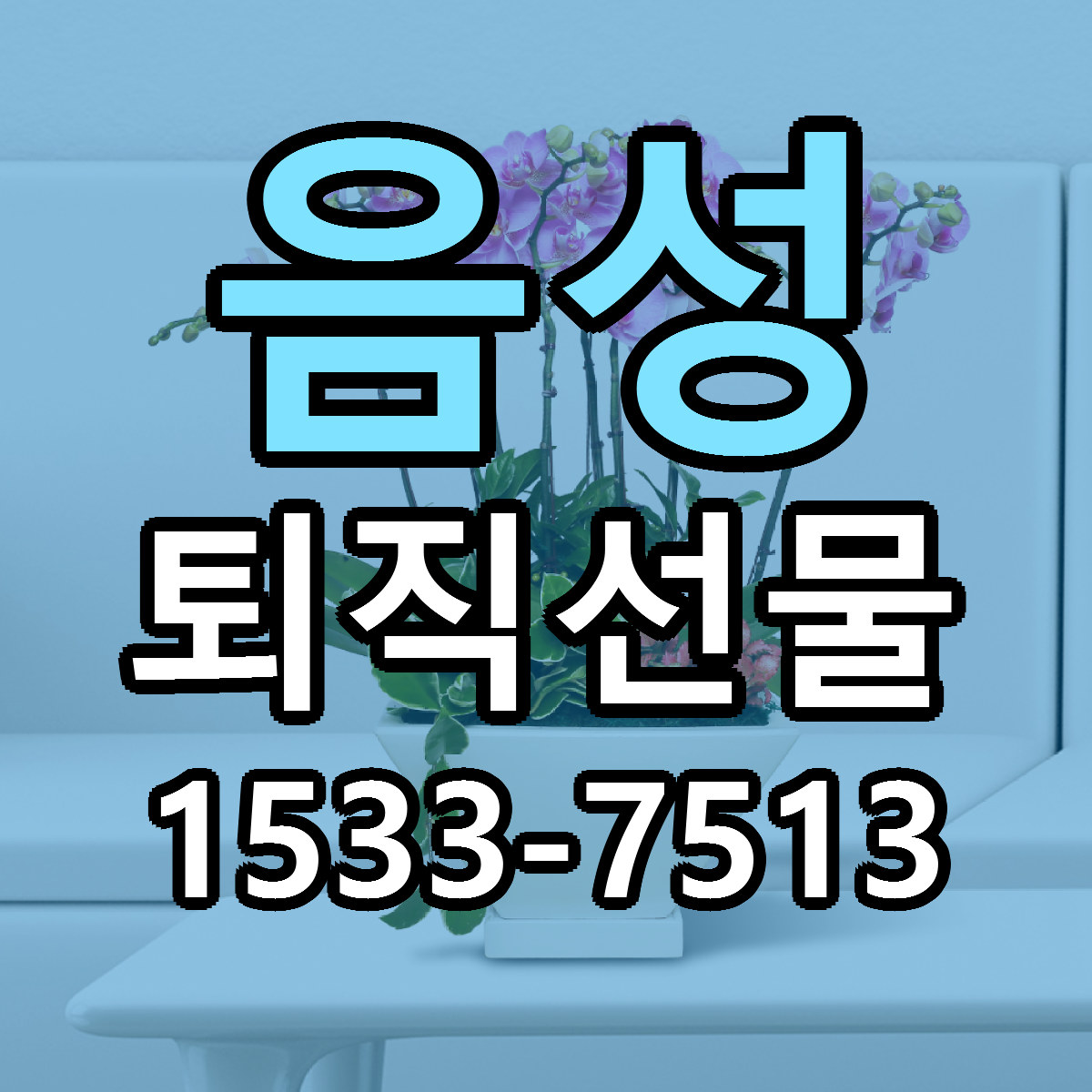 음성 퇴직선물 당일배송 저렴한곳 리본문구 추천