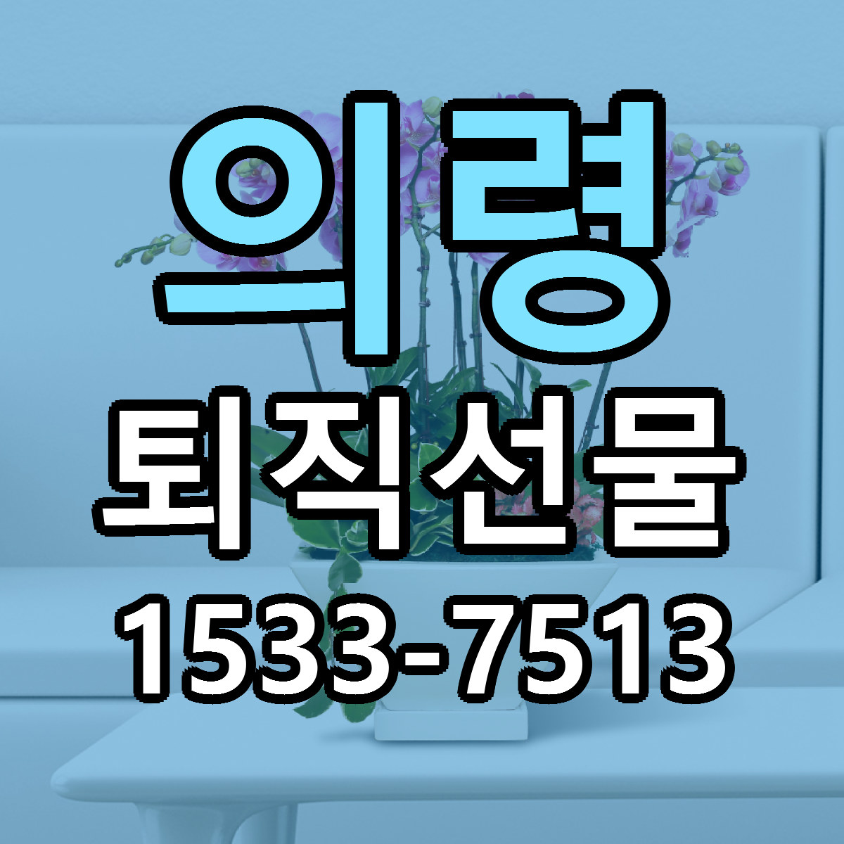 의령 퇴직선물 싼곳 당일배송 리본문구 작성