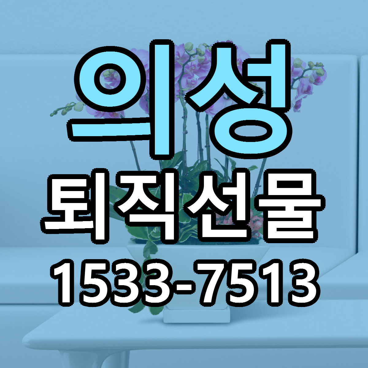 의성 퇴직선물 싼곳 당일배송 리본문구 작성