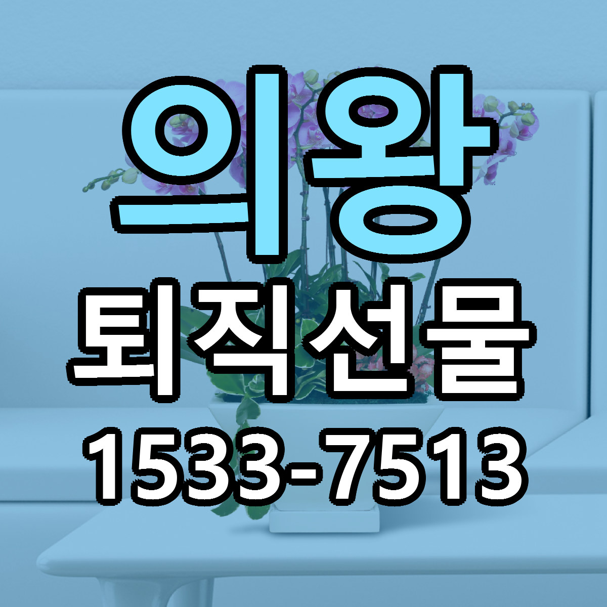 의왕 퇴직선물 저렴한곳 당일배송 가격 만족