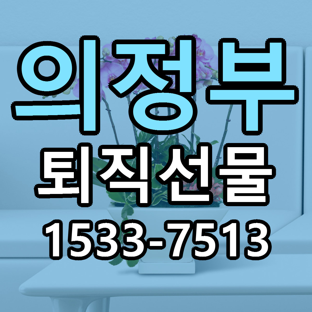 의정부 퇴직선물 당일배송 리본문구 빠른배송 서비스