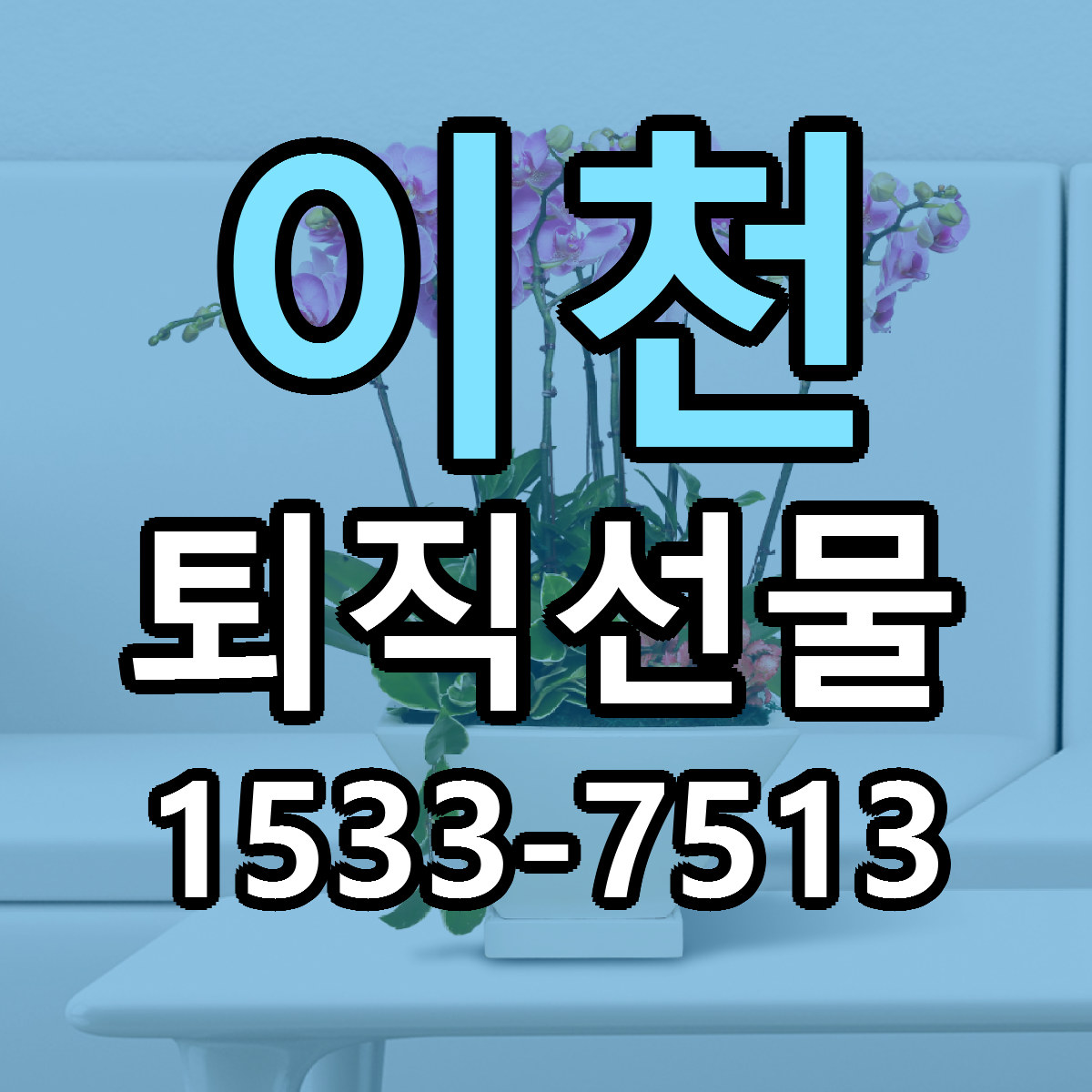 이천 퇴직선물 싼곳 빠른배송 리본문구 무료