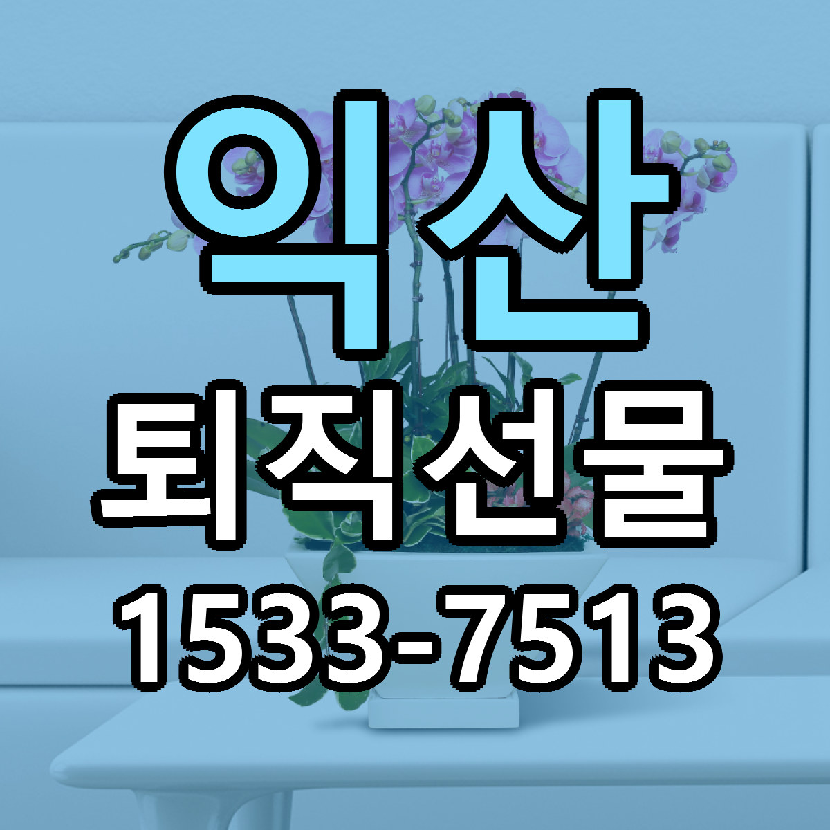 익산 퇴직선물 당일배송 싼곳 리본문구 안내