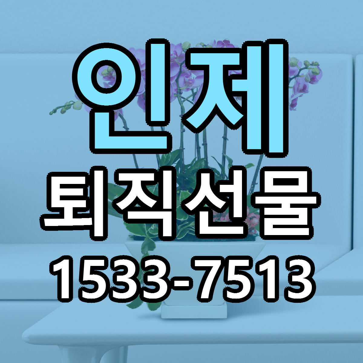 인제 퇴직선물 리본문구 서비스 저렴한곳 빠른배송