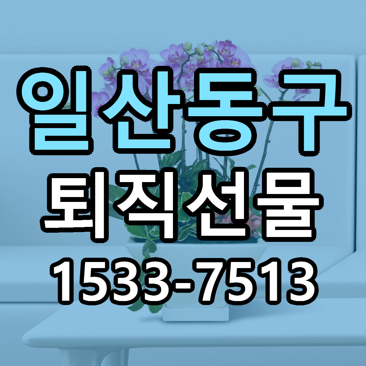 일산동구 퇴직선물 싼곳 당일배송 리본문구 작성
