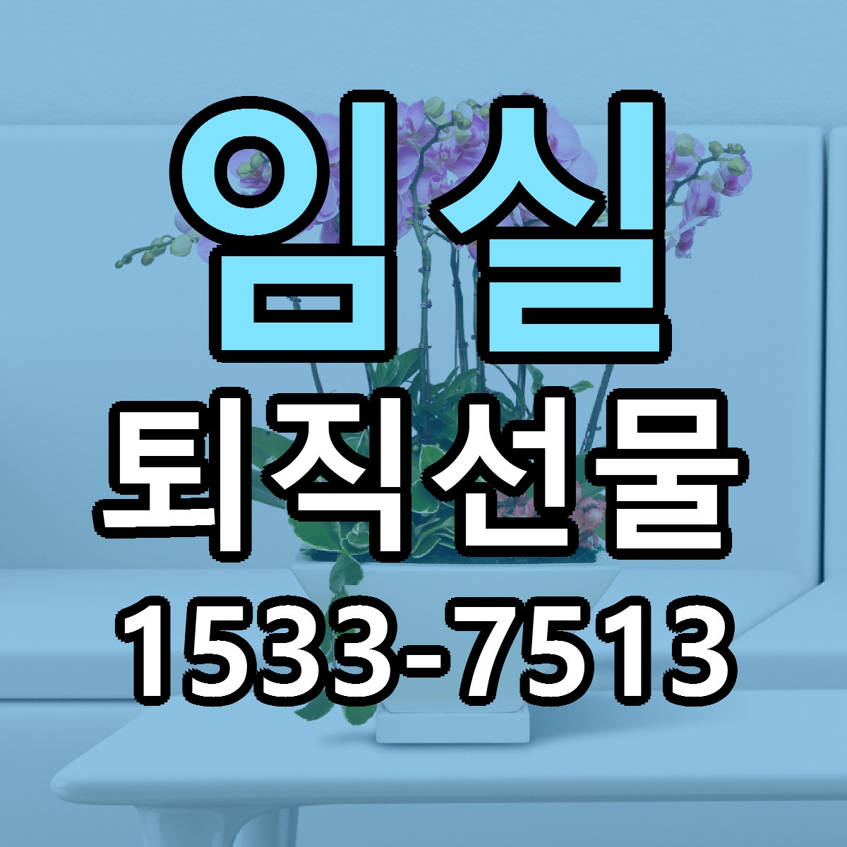 임실 퇴직선물 빠른배송 리본문구 근처꽃집 예약