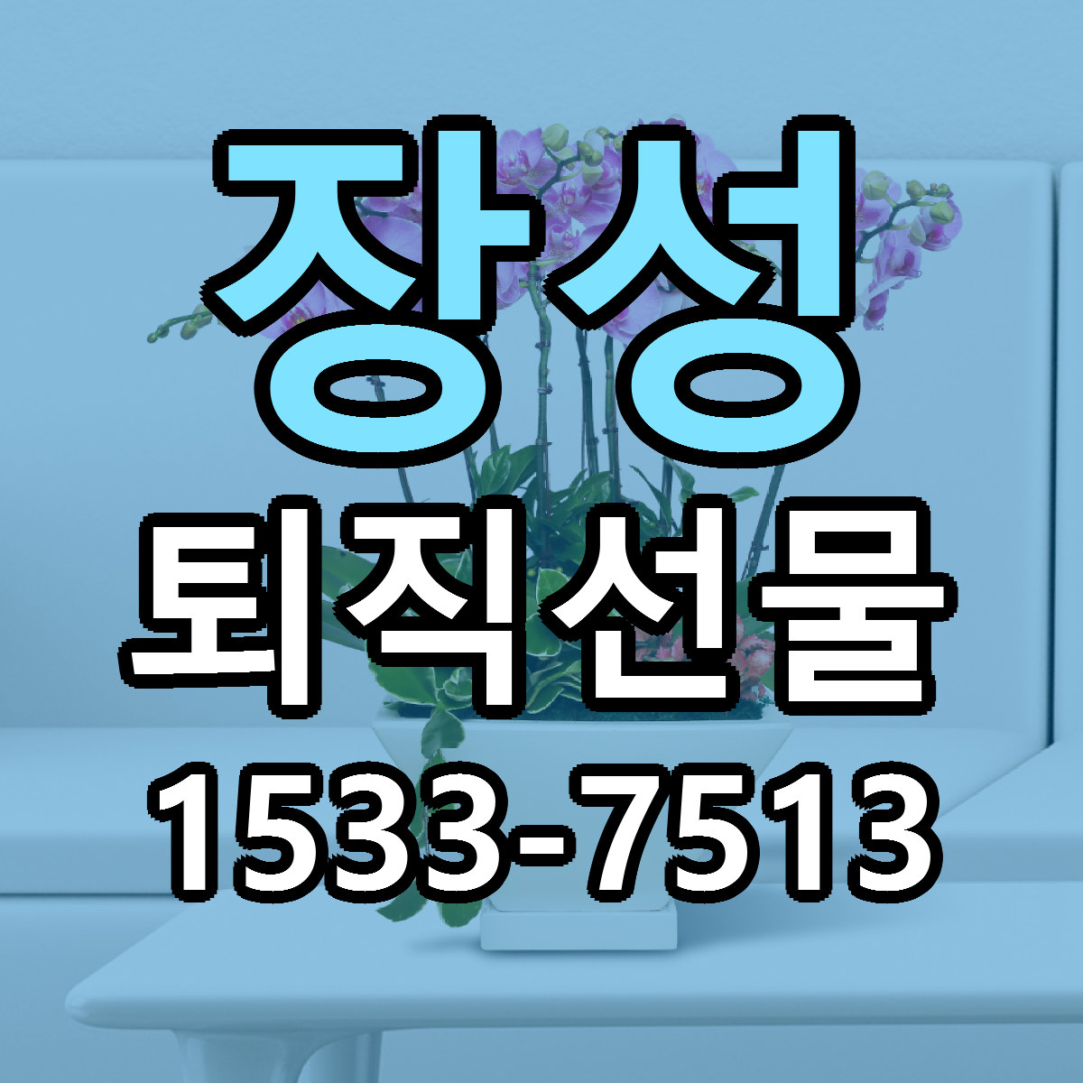 장성 퇴직선물 빠른배송 리본문구 가격 알뜰 비교