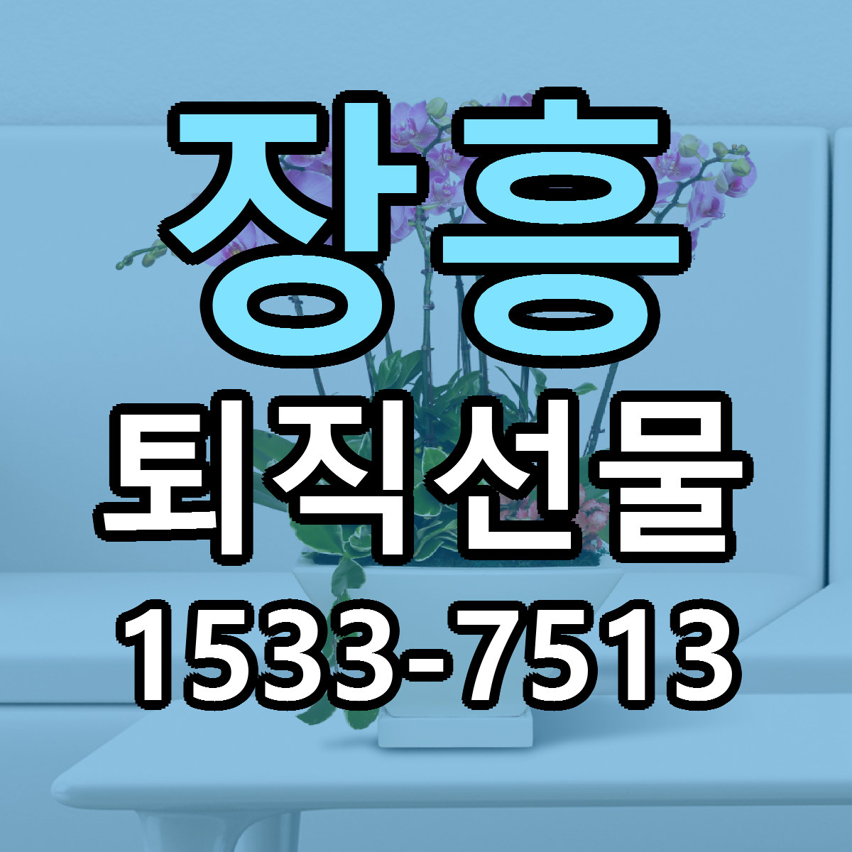 장흥 퇴직선물 가격 만족 저렴한곳 리본문구 작성