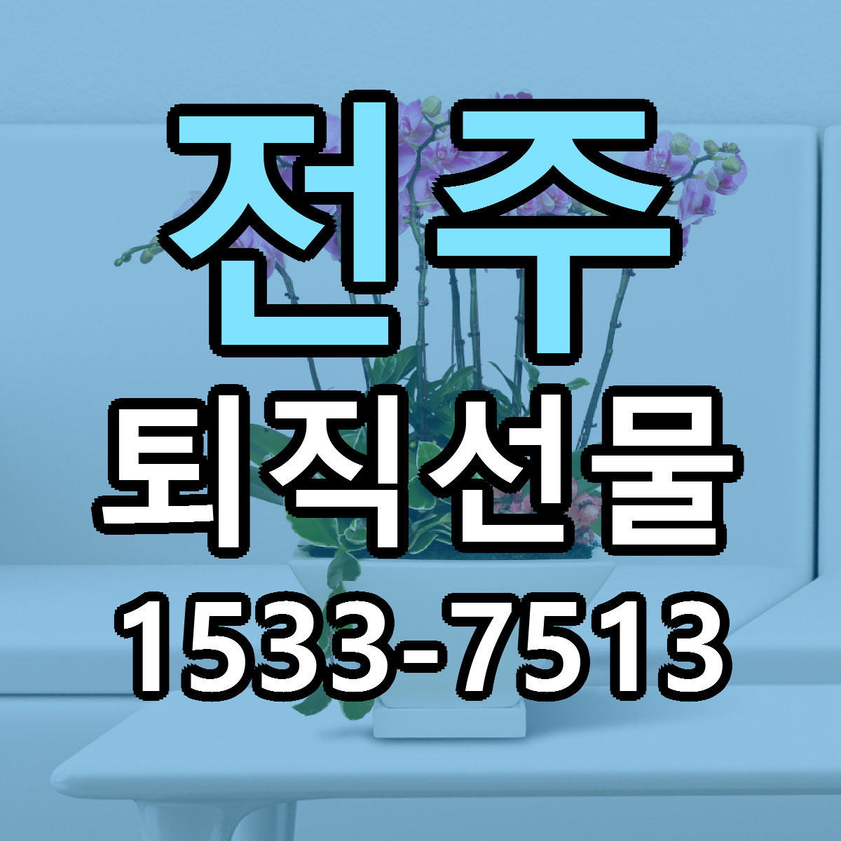 전주 퇴직선물 근처꽃집 빠른배송 가격 문의