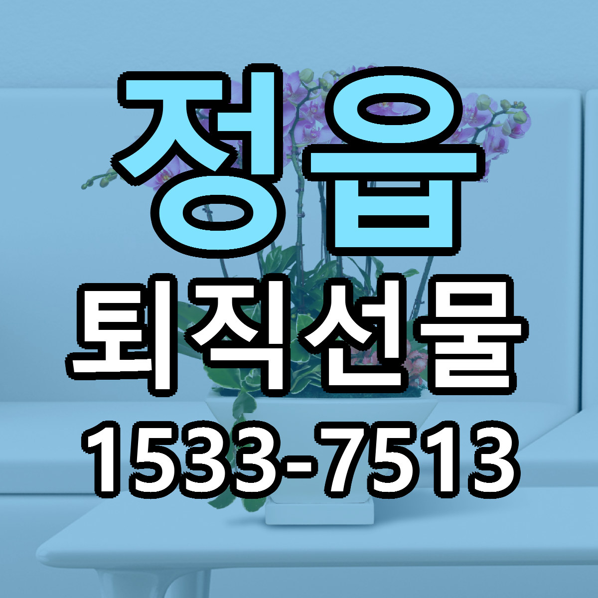 정읍 퇴직선물 근처꽃집 싼곳 빠른배송 안내