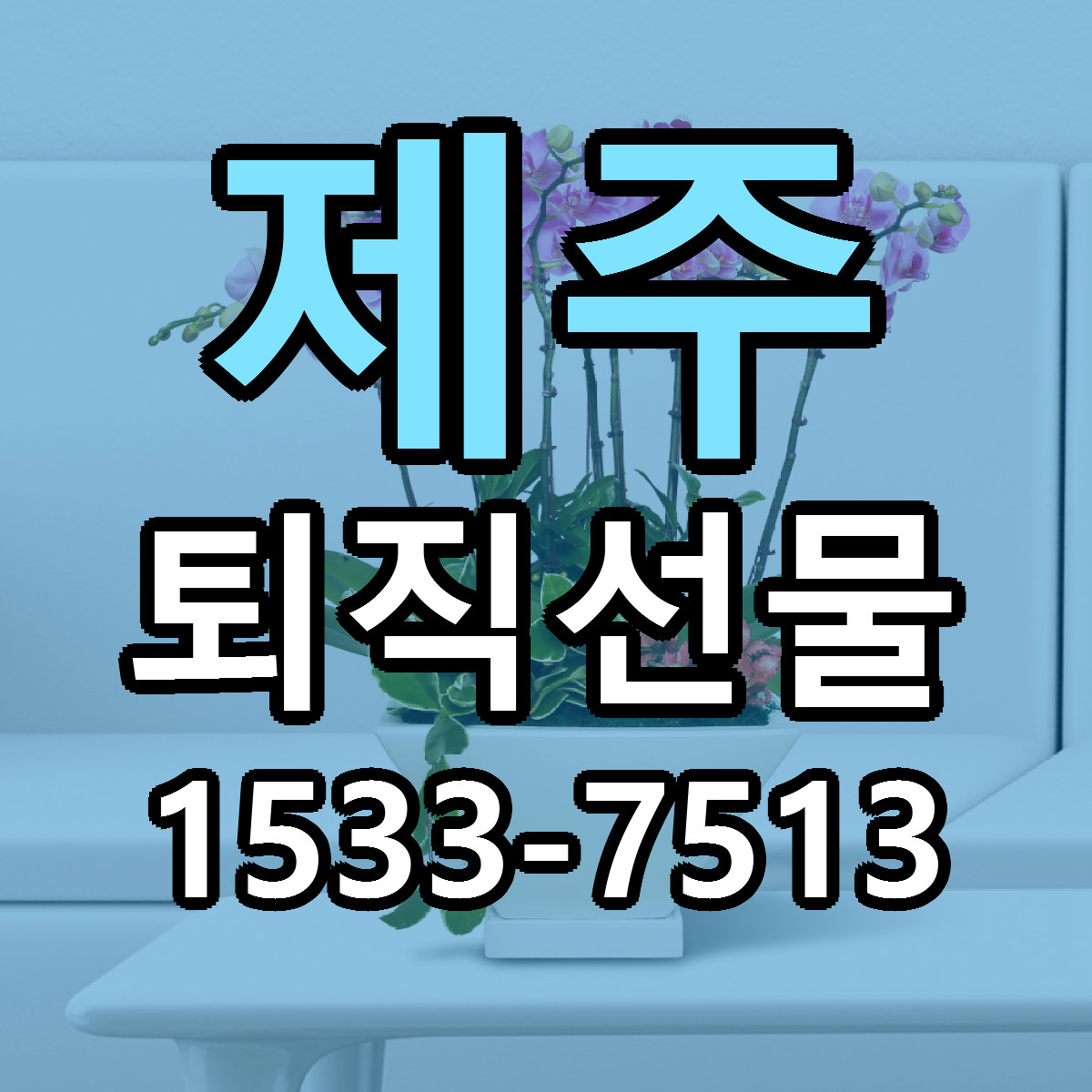 제주 퇴직선물 가격 만족 저렴한곳 리본문구 작성