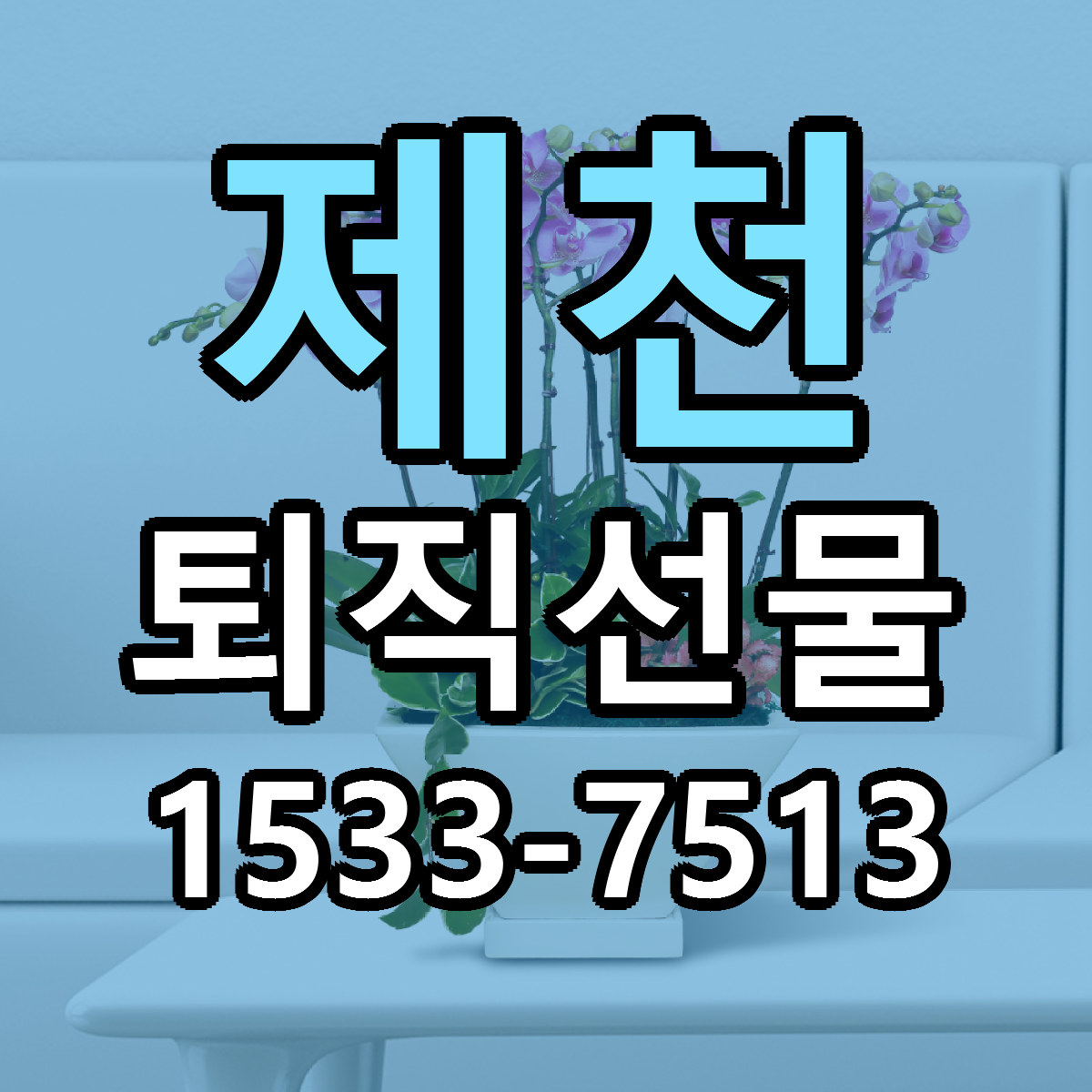 제천 퇴직선물 근처꽃집 싼곳 빠른배송 안내