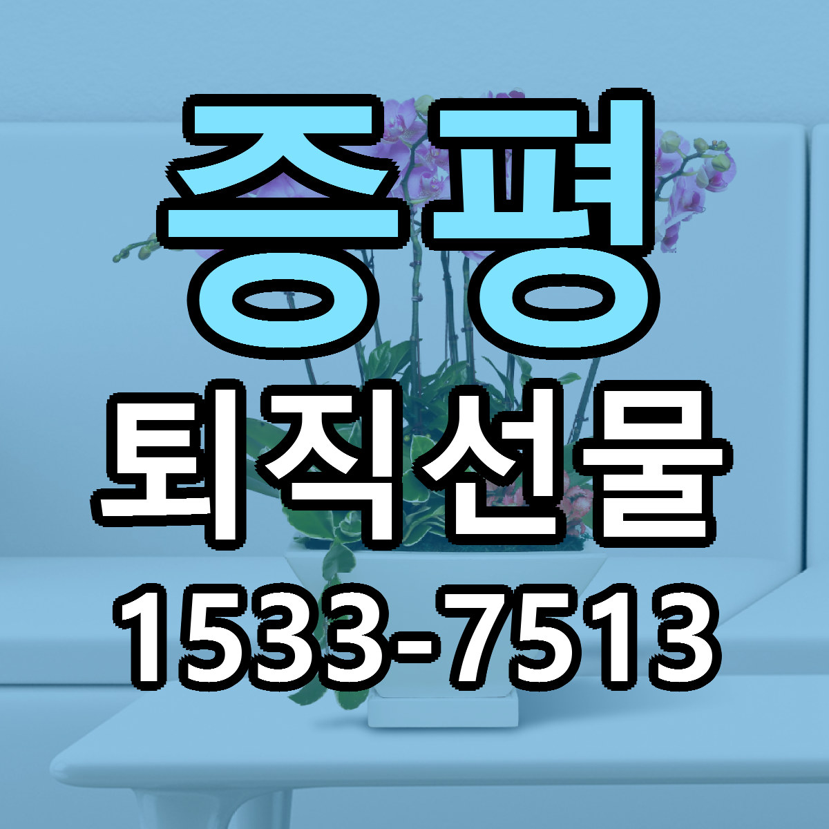 증평 퇴직선물 근처꽃집 가격 저렴한곳 안내