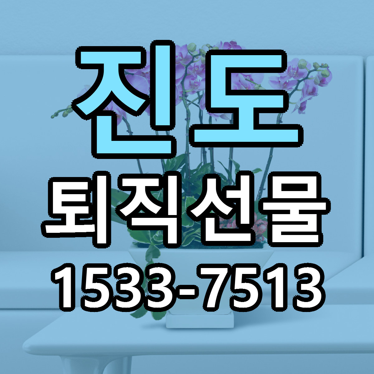 진도 퇴직선물 가격 만족 저렴한곳 리본문구 작성