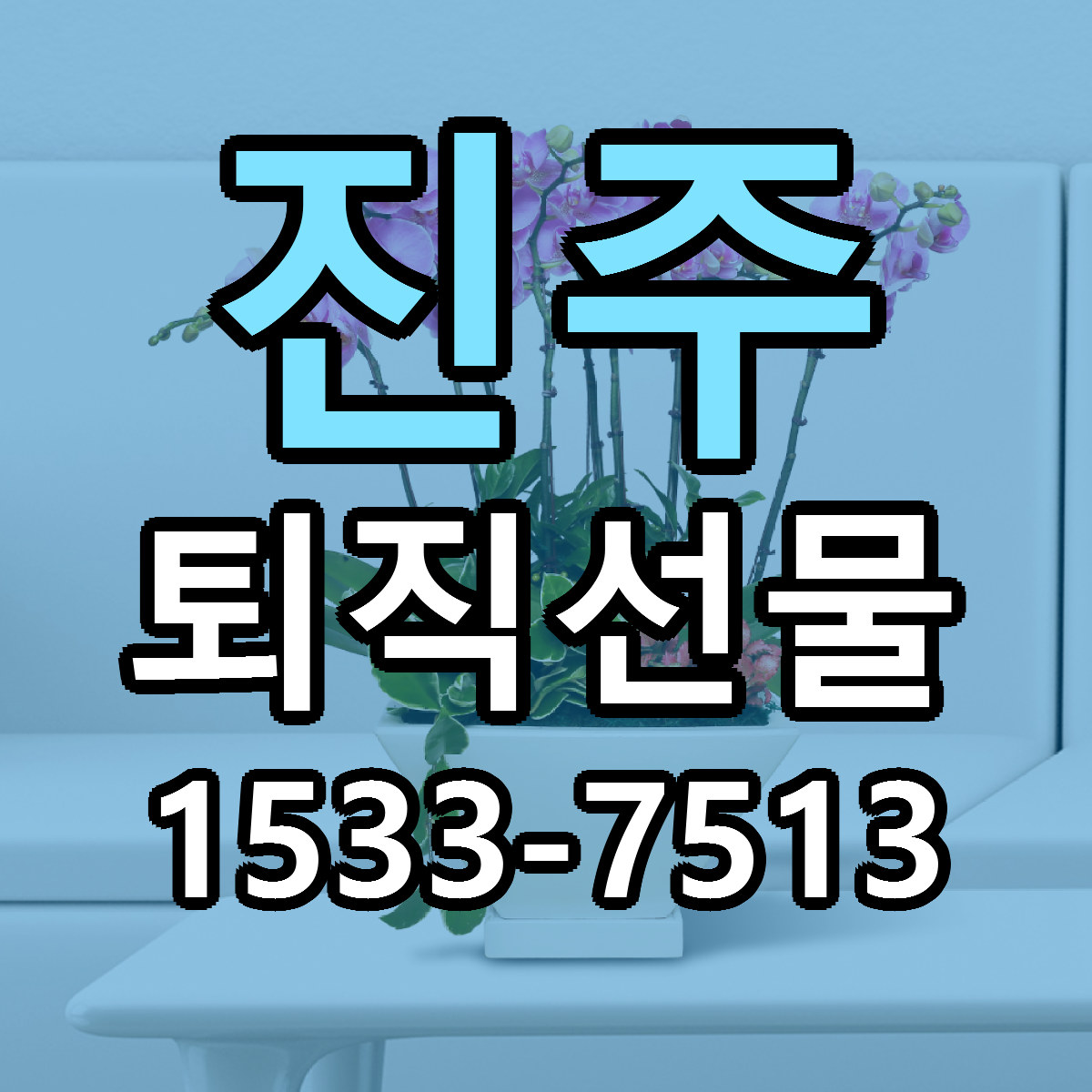 진주 퇴직선물 근처꽃집 저렴한곳 빠른배송 서비스