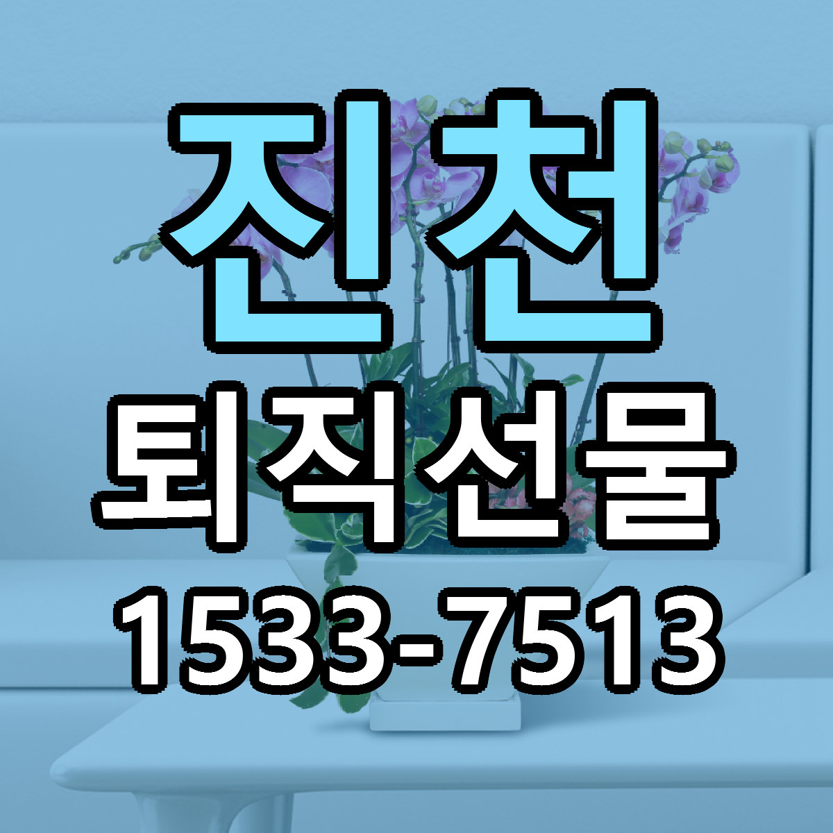 진천 퇴직선물 빠른배송 리본문구 근처꽃집 예약