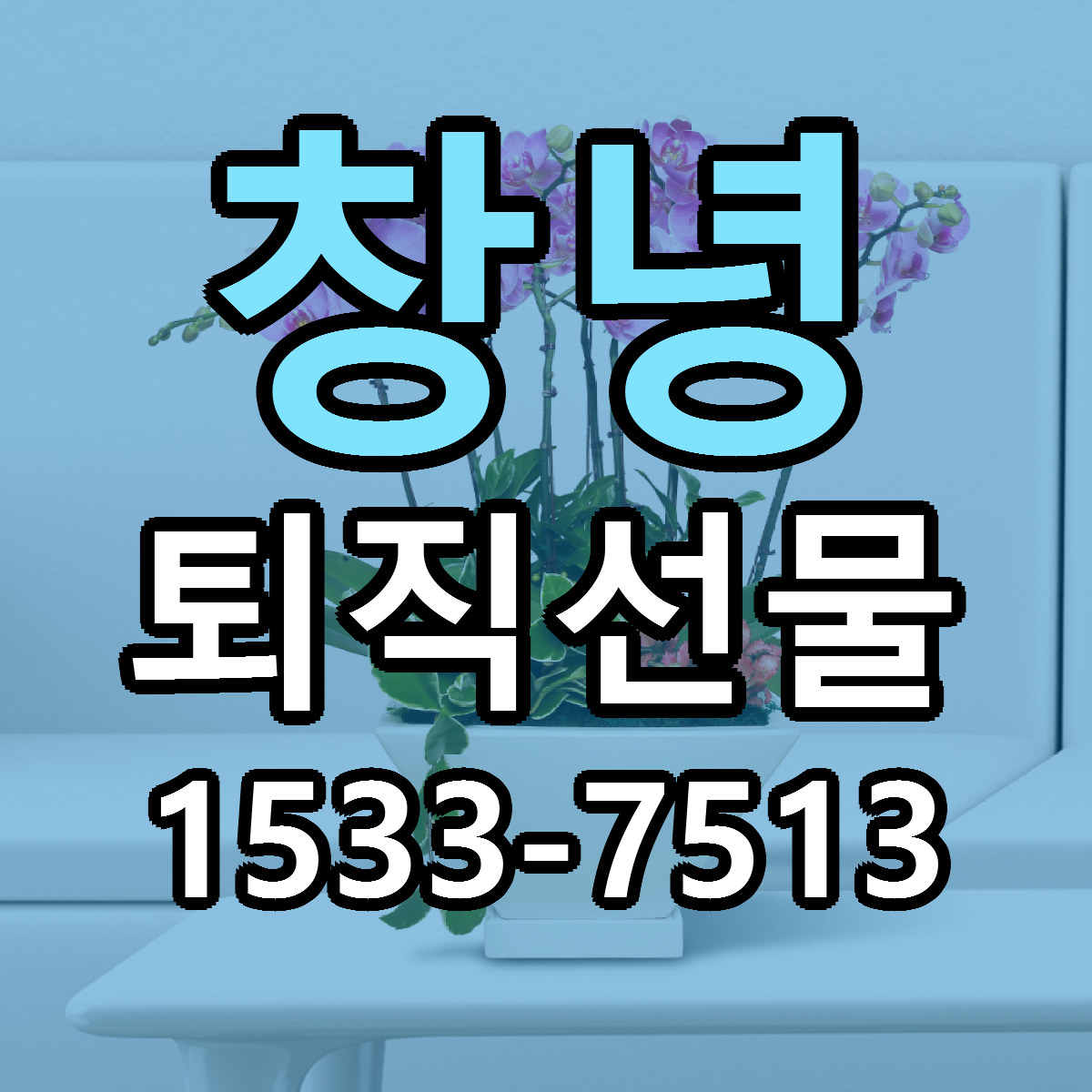 창녕 퇴직선물 근처꽃집 빠른배송 가격 문의