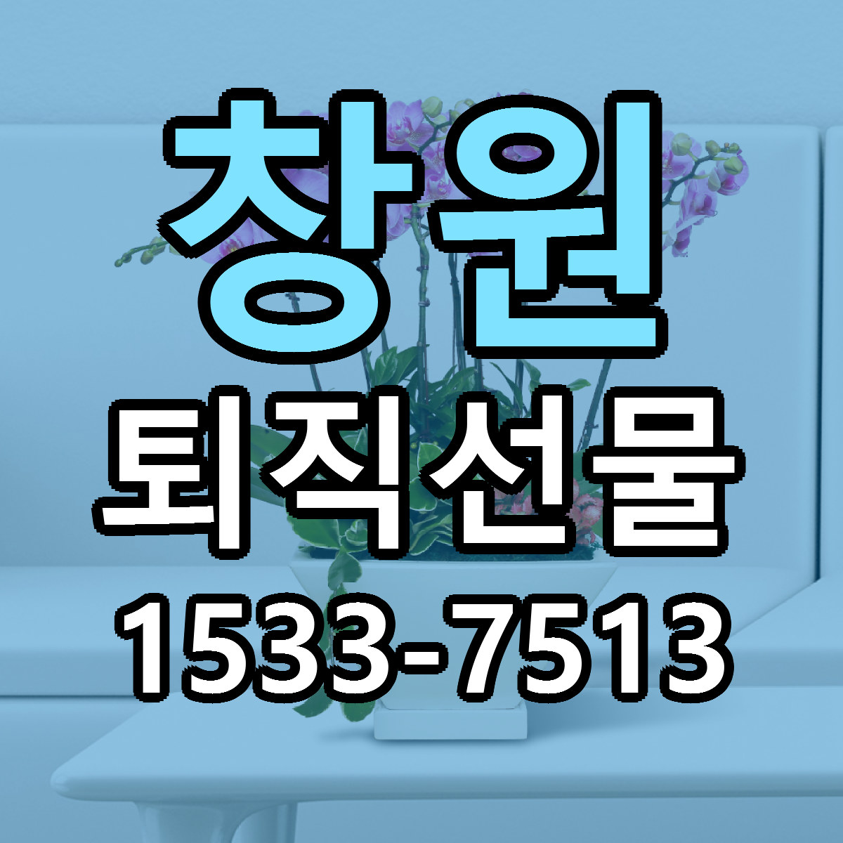 창원 퇴직선물 당일배송 빠른배송 싼곳 찾기