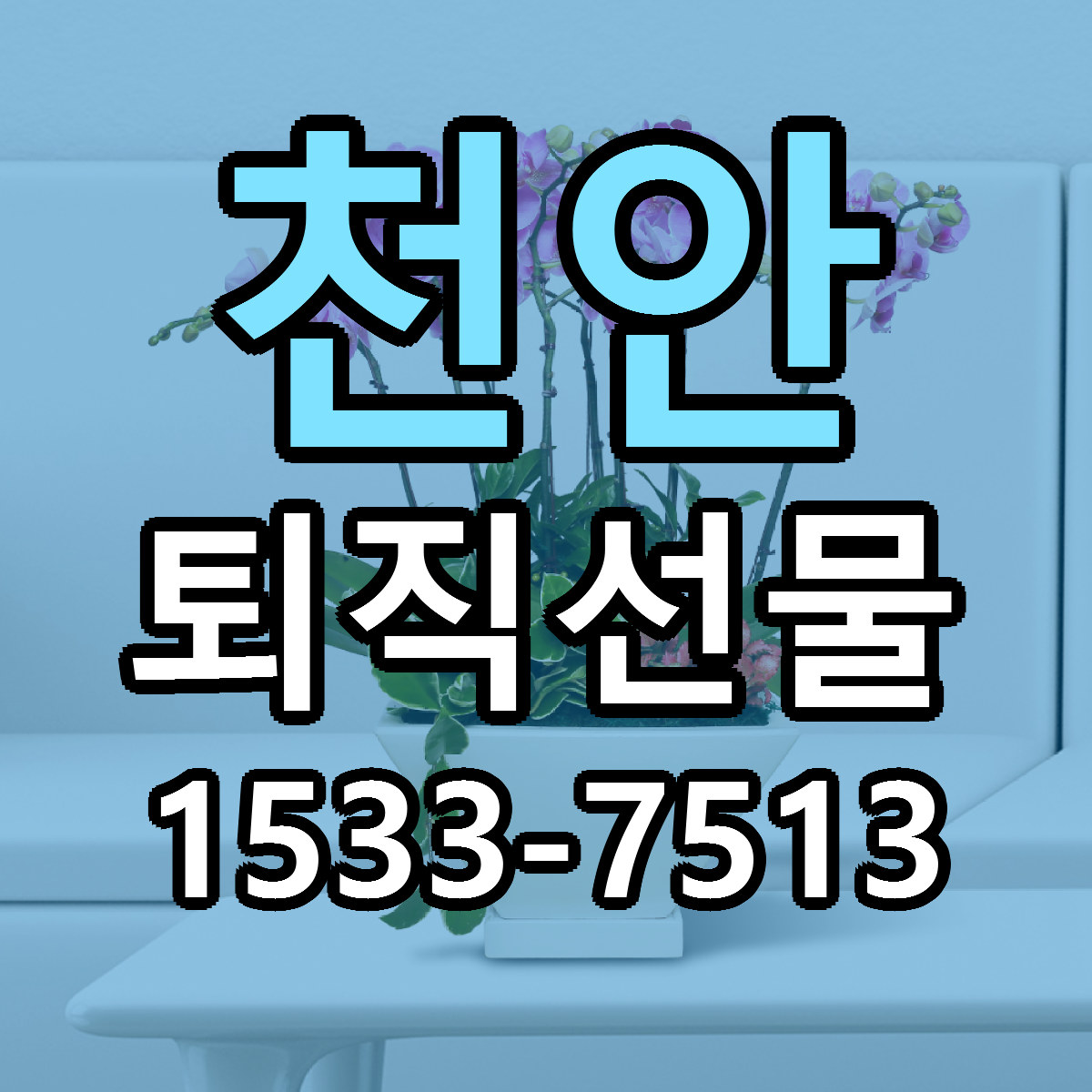 천안 퇴직선물 근처꽃집 저렴한곳 빠른배송 서비스