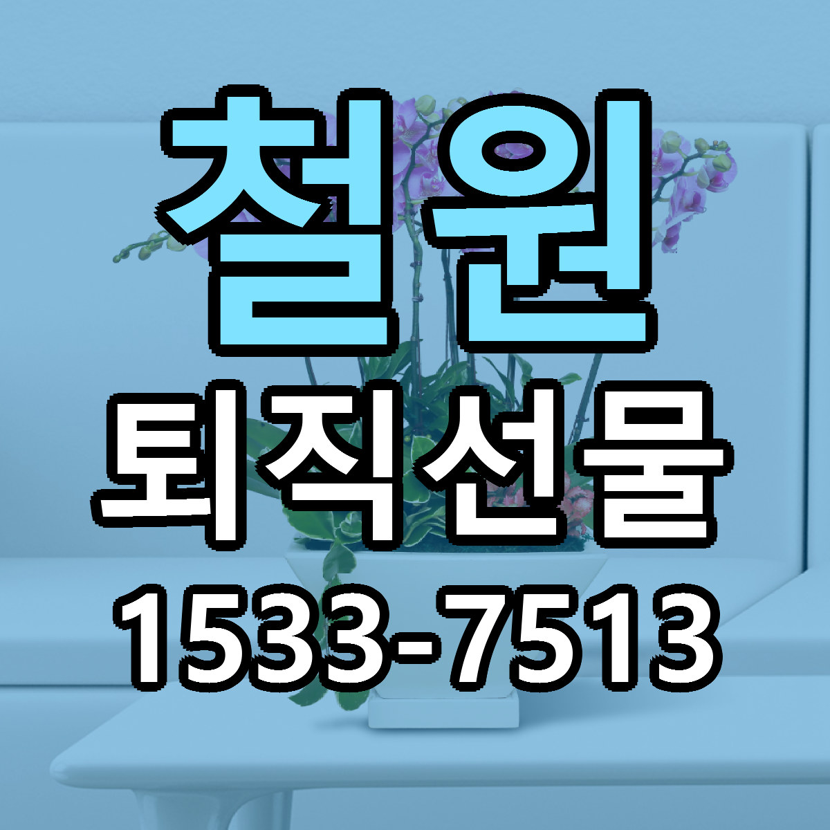 철원 퇴직선물 리본문구 싼곳 빠른배송 예약