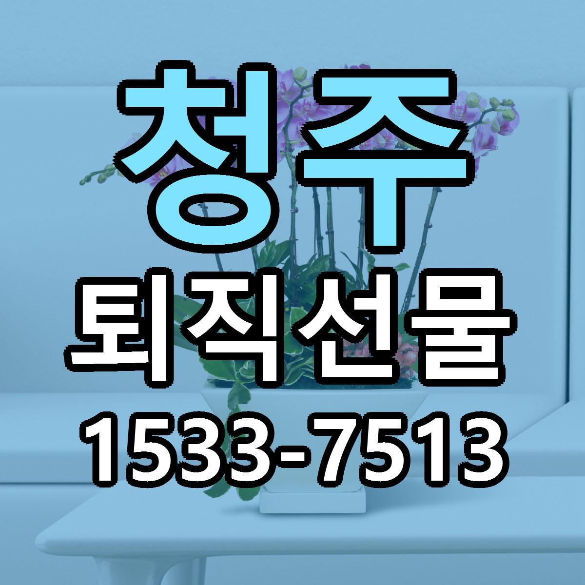 청주 퇴직선물 근처꽃집 당일배송 가격 안내