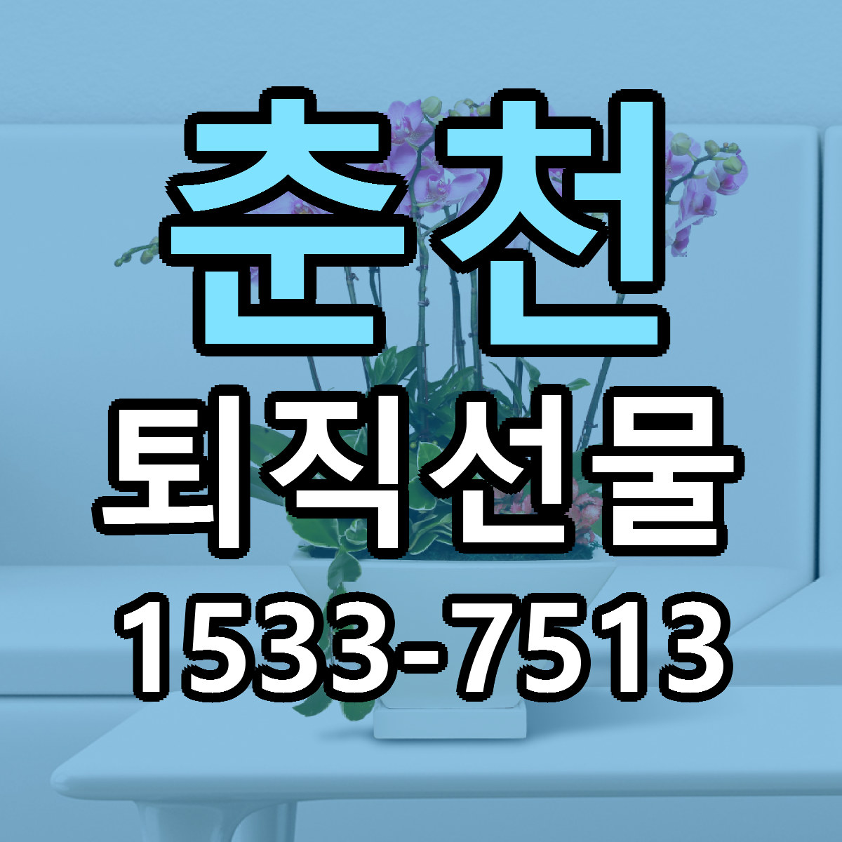 춘천 퇴직선물 근처꽃집 싼곳 빠른배송 안내
