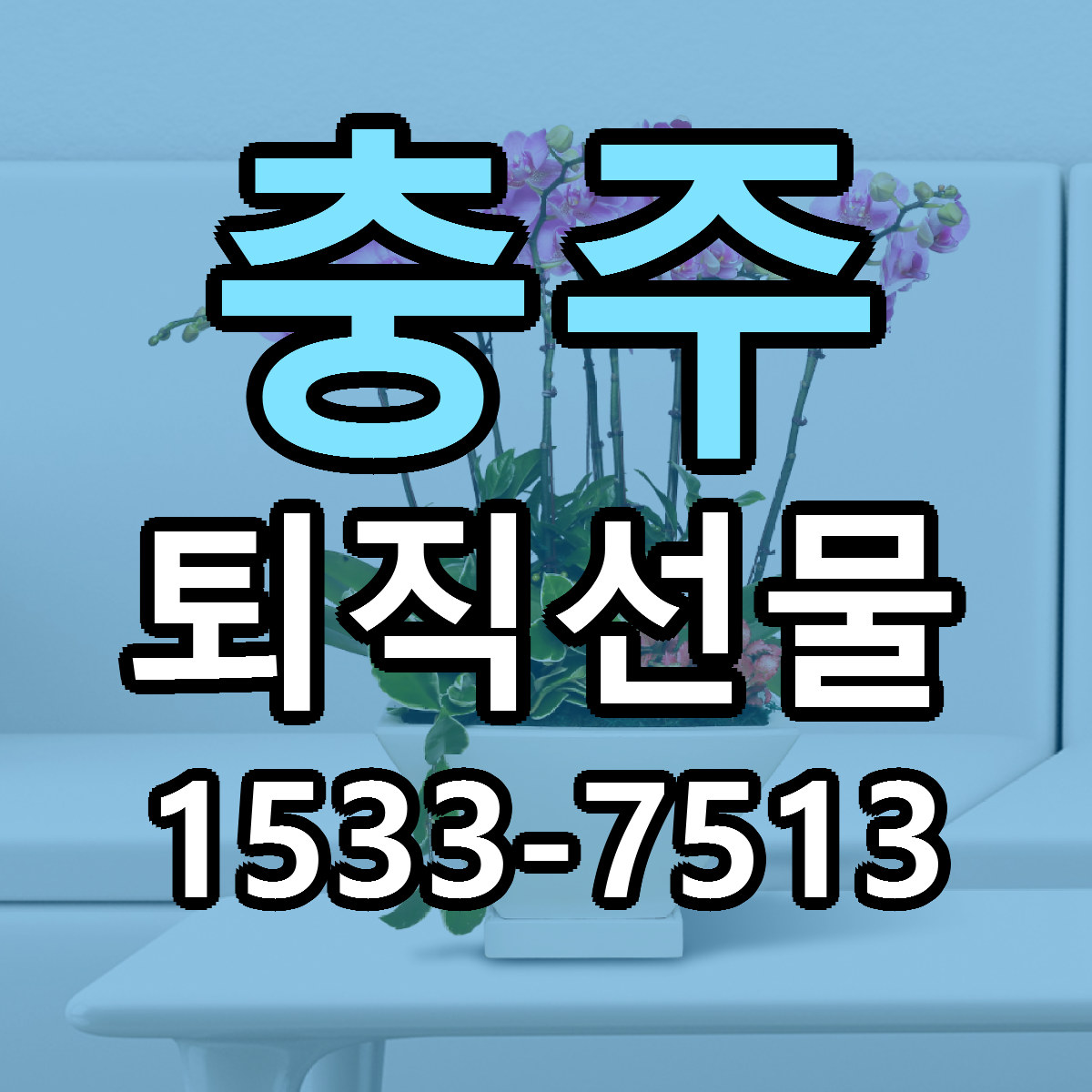 충주 퇴직선물 근처꽃집 당일배송 싼곳 추천