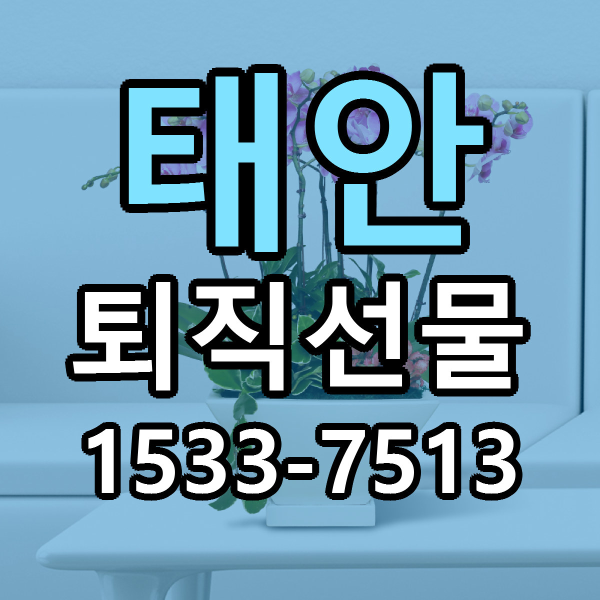 태안 퇴직선물 빠른배송 리본문구 가격 알뜰 비교