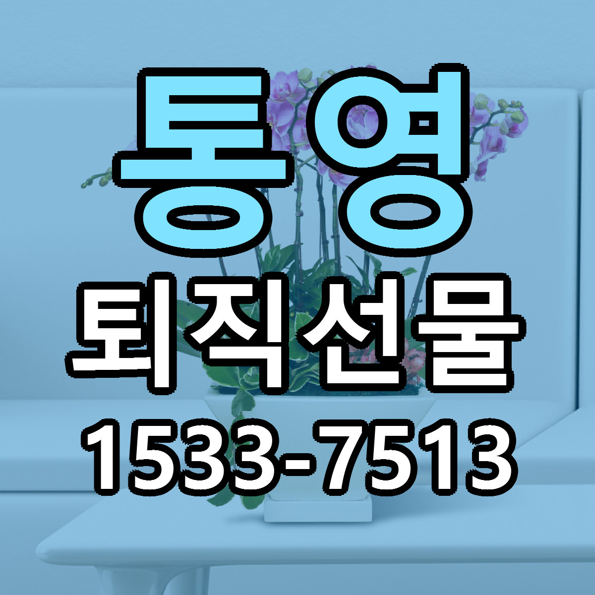통영 퇴직선물 근처꽃집 싼곳 빠른배송 안내