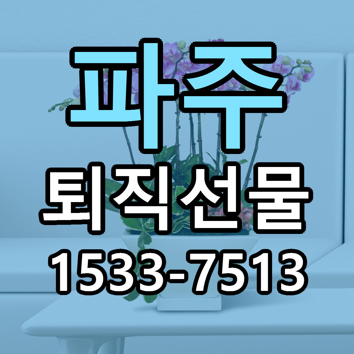파주 퇴직선물 근처꽃집 빠른배송 가격 문의