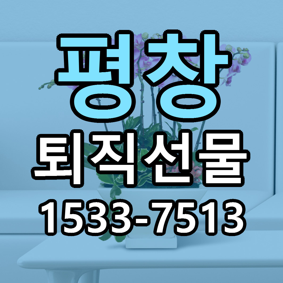 평창 퇴직선물 근처꽃집 빠른배송 가격 문의